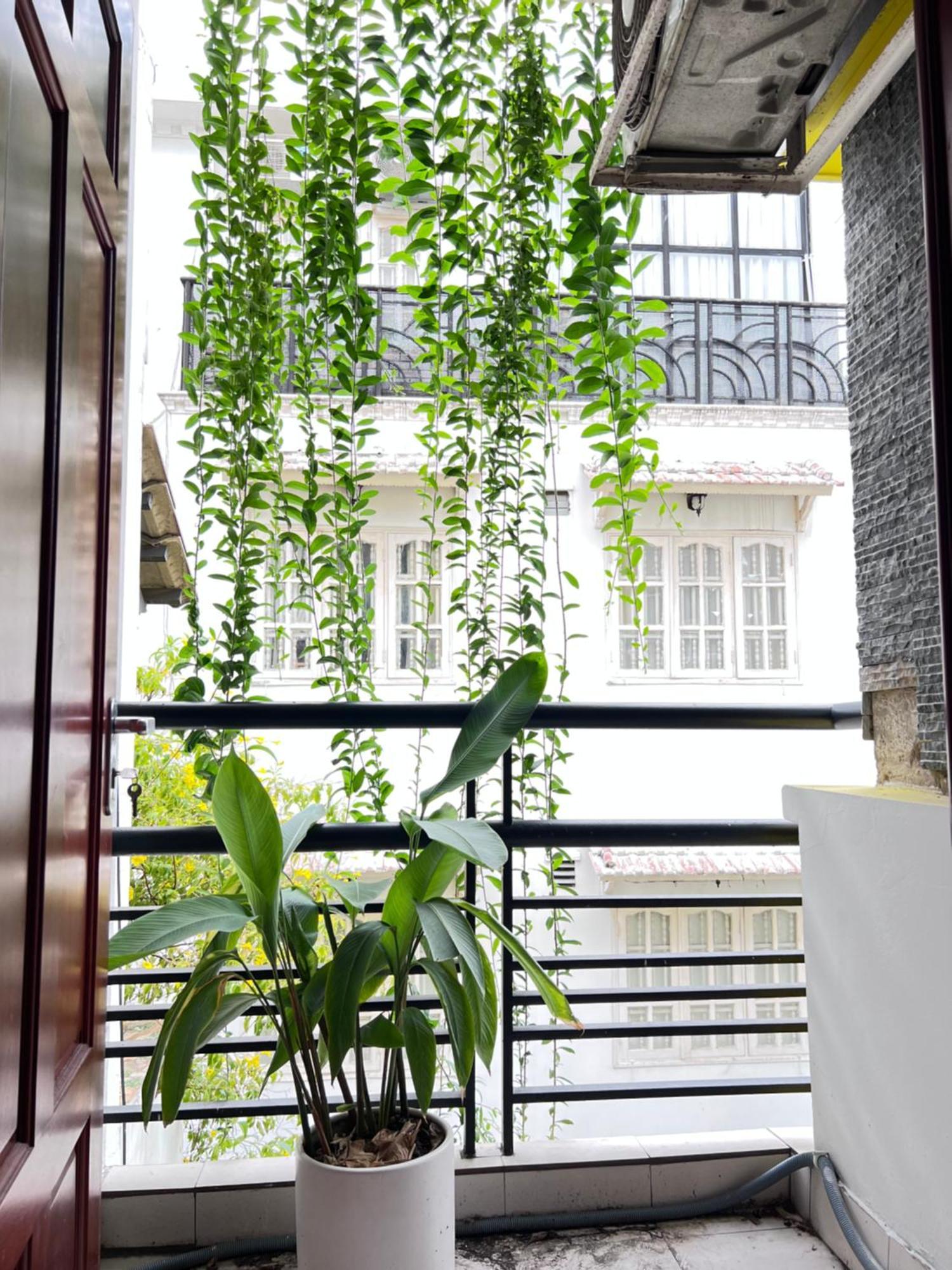 Co Homestay Saigon Ho Či Minovo Město Exteriér fotografie